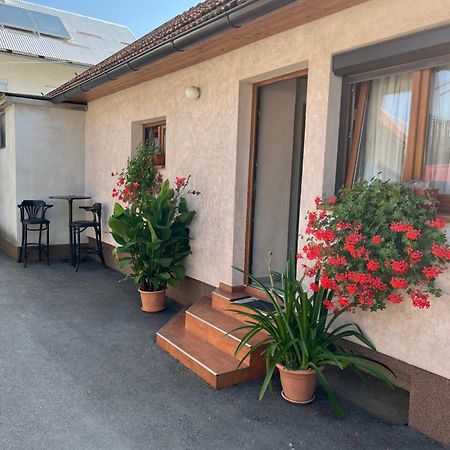 אוגולין Apartman Anna מראה חיצוני תמונה